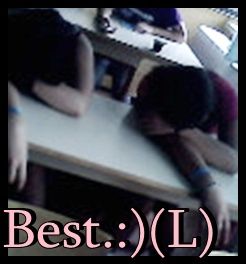 img2147a.jpg