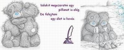 resize_of_resize_of_fejlec.jpg
